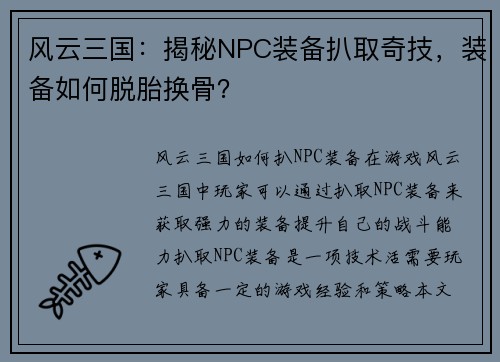 风云三国：揭秘NPC装备扒取奇技，装备如何脱胎换骨？